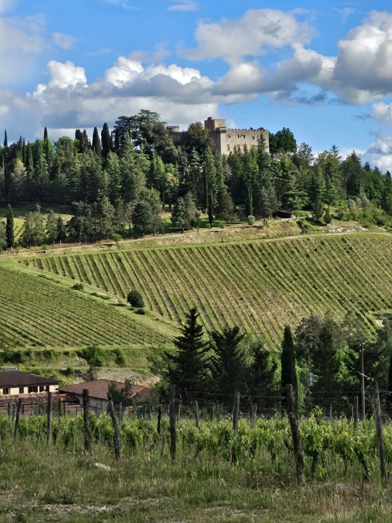 View of Castle Meleto from a distance
