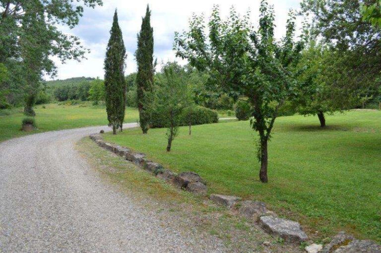 Row of fruit trees lining the driveway